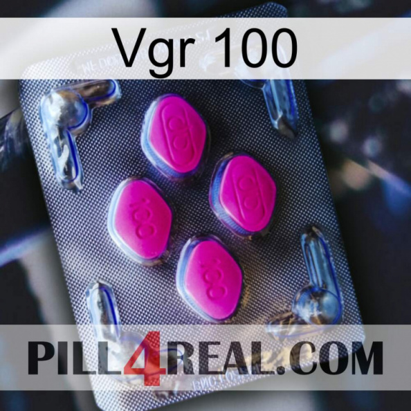 Vgr 100 02.jpg